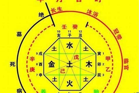 弱水命|八字水弱的怎么办(八字弱水命是什么意思)